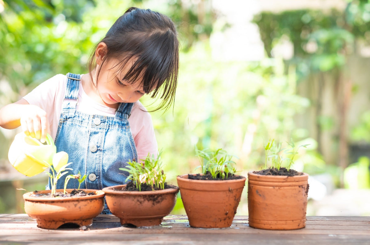 Top 5 Best Plants for Kids