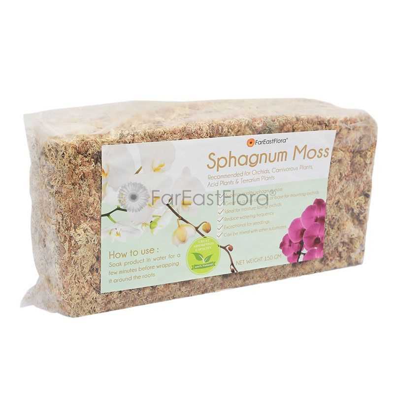 CHILEAN SPHAGNUM MOSS (150G)