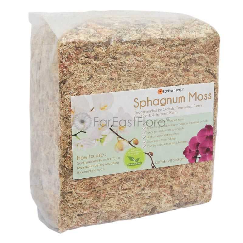 CHILEAN SPHAGNUM MOSS (500G)