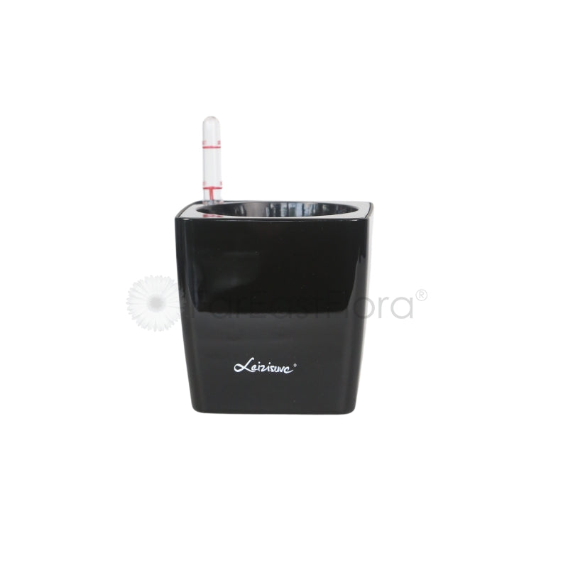 Leizisure M-1 Self-Watering Pot (Ø11.5CMxH11.5CM) - Black