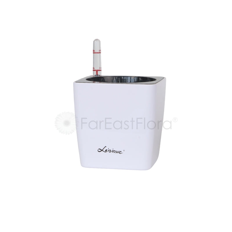 Leizisure M-1 Self-Watering Pot (Ø11.5CMxH11.5CM) - White