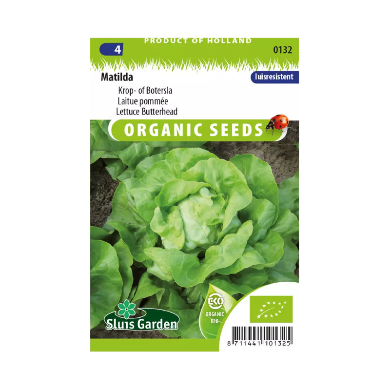 SL0132 Lettuce Butterhead Matilda BIO
