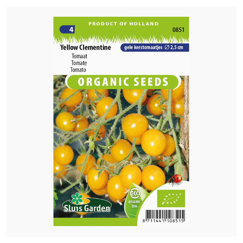 SL0851 Tomato Yellow Clementine BIO