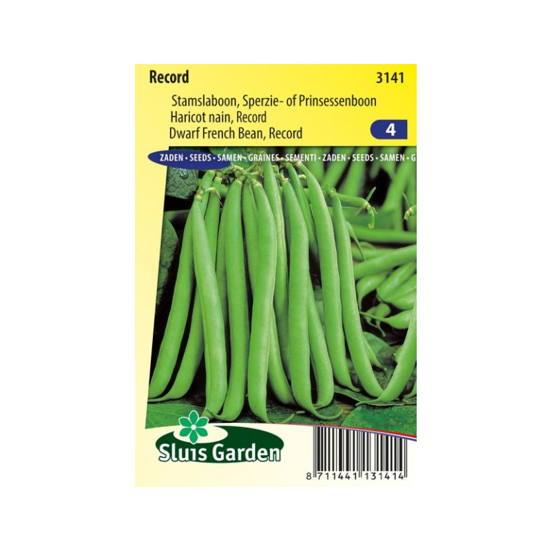 SL3141 Dwarf French Bean Record (improved Flandria)