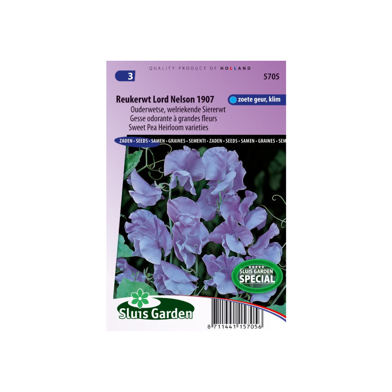 SL5705 Sweet Pea od. Grandifl. Lord Nelson 1907