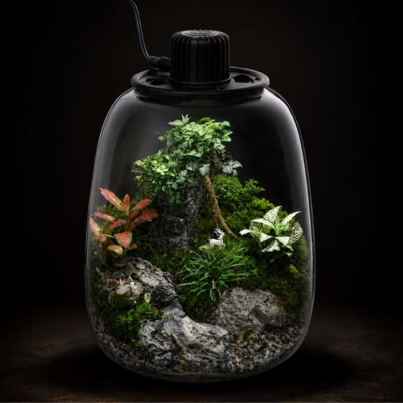 TERRARIUM ARRANGEMENT S/O $129.90