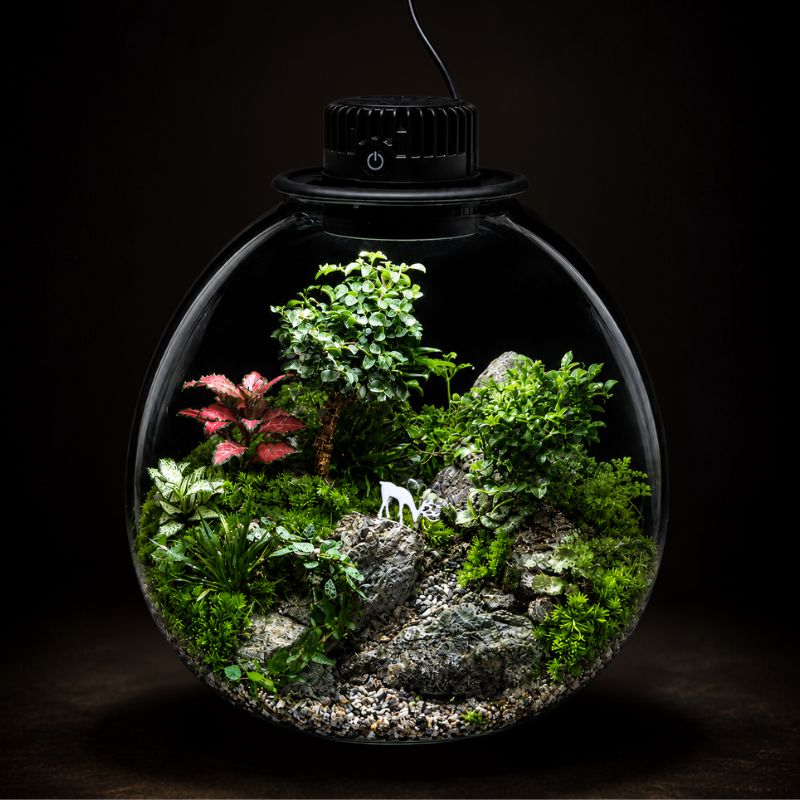 TERRARIUM ARRANGEMENT S/O $159.90