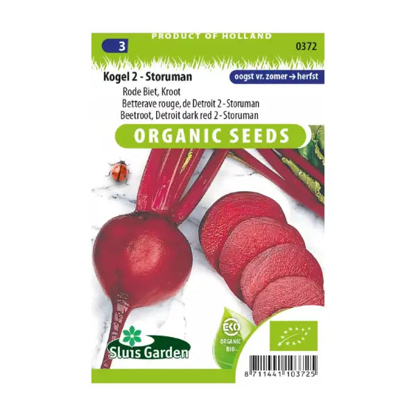 SL0372 Beetroot Detroit dark red 2 - Storuman BIO