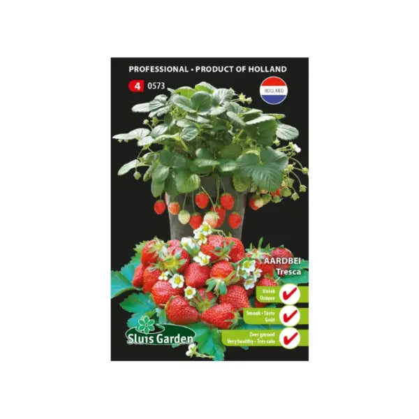 SL0573 Strawberry semi-large fruited Tresca