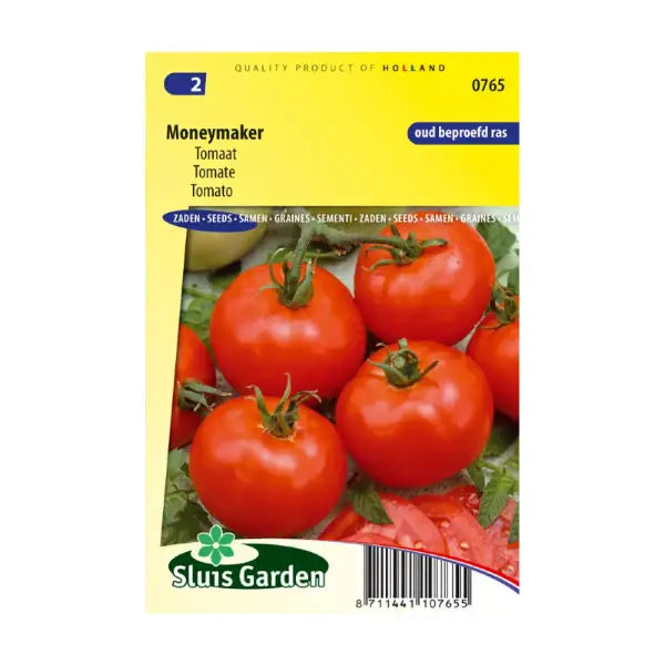SL0765 Tomato Moneymaker