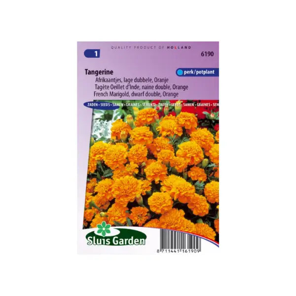 SL6190 French Marigold Tangerine dwarf double orange
