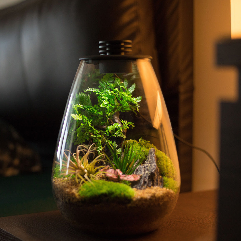 BIOLOARK BIO BOTTLE SD175 175*230MM 3W LED 5V/1A