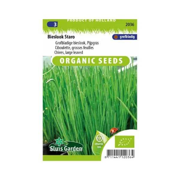 SL2036 Chives large leaved Staro BIO