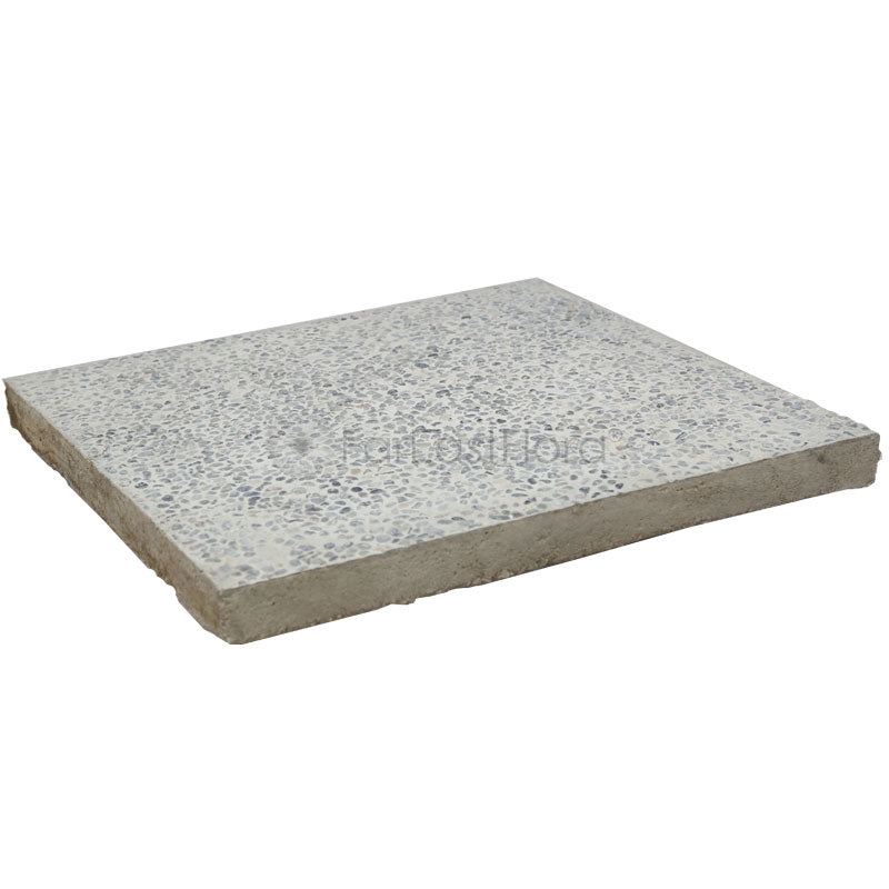 Cement Slab Small Pebbles 20"x20" (50x50cm)