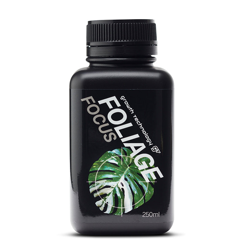 GT FOLIAGE FOCUS 250ML