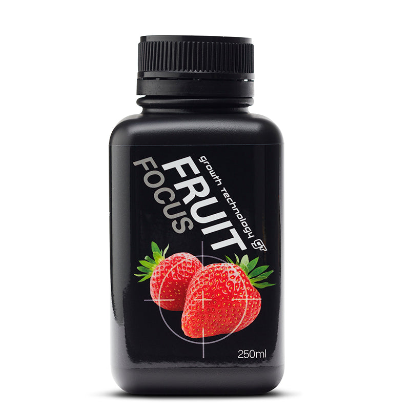 GT FRUIT FOCUS 250ML
