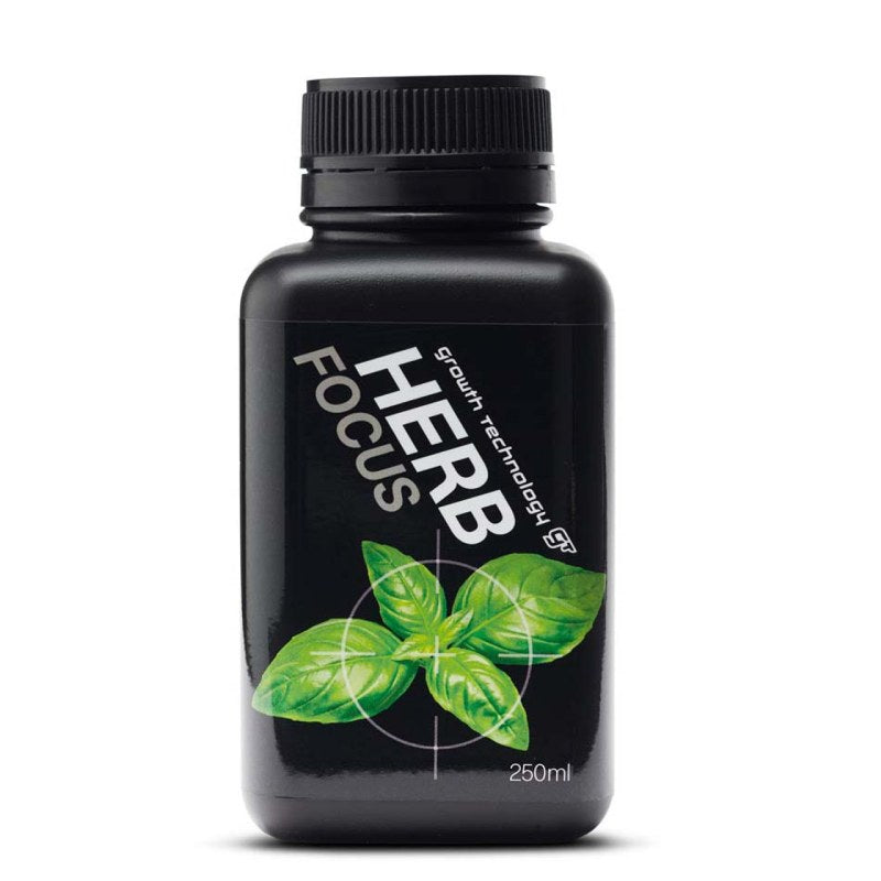GT HERB FOCUS 250ML