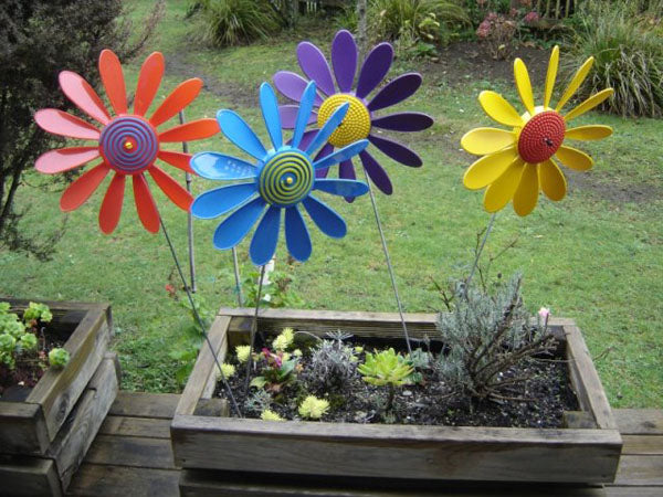 Happy Daisy & Spiral Daisy