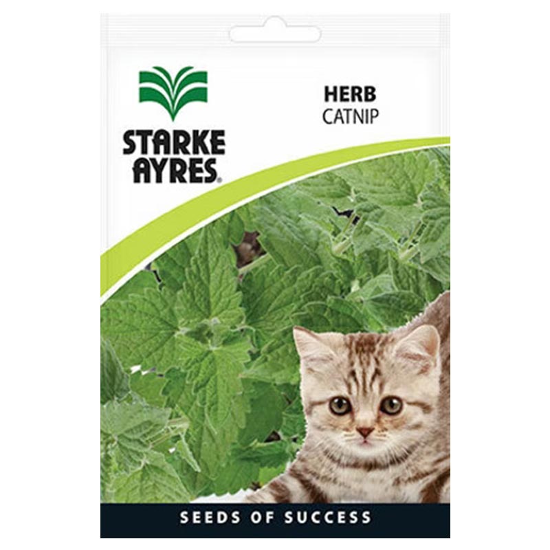V8416 HERBS CATNIP Herb Seeds