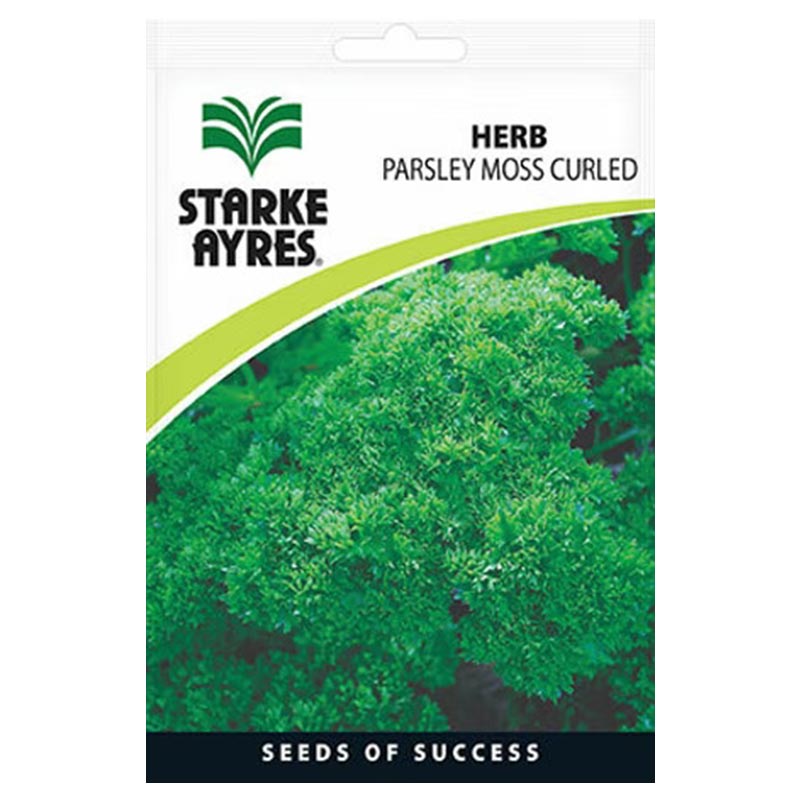 V3210 HERBS PARSLEY MOSS CURLED Herb Seeds