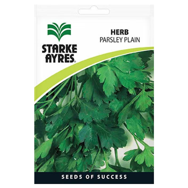 V3220 HERBS PARSLEY PLAIN Herb Seeds