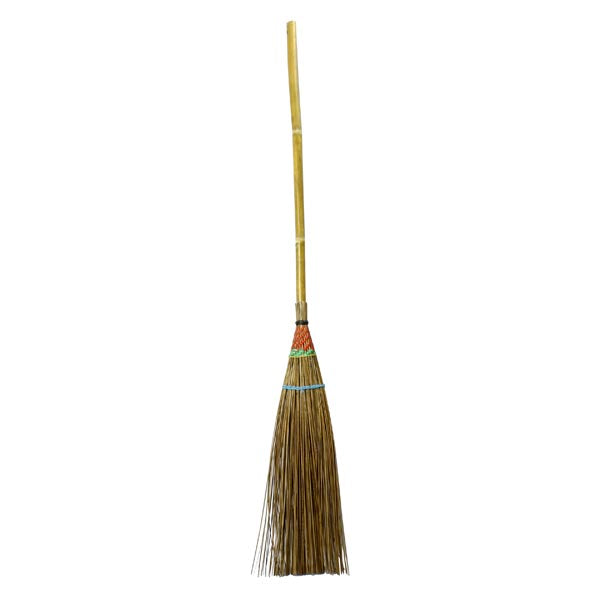 Lily Broom