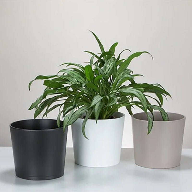 Scheurich 883/11 Cover Pot