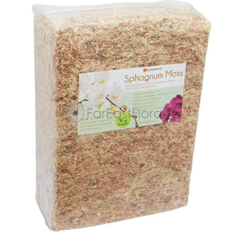 Chilean Sphagnum Moss (80L) - 1Kg