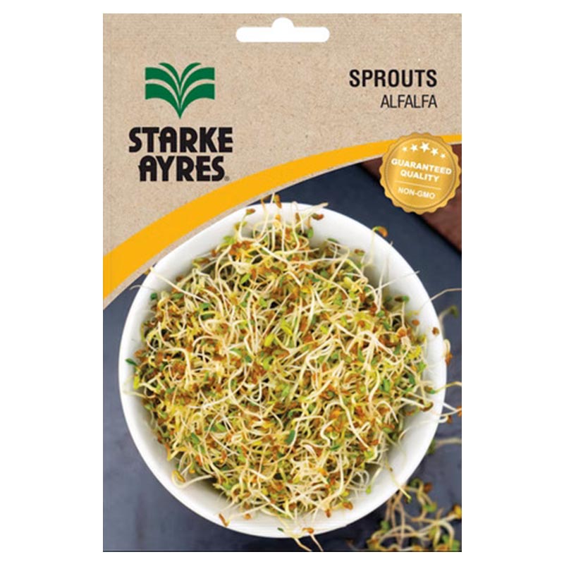 A4862 ALFALFA Sprouts Seeds