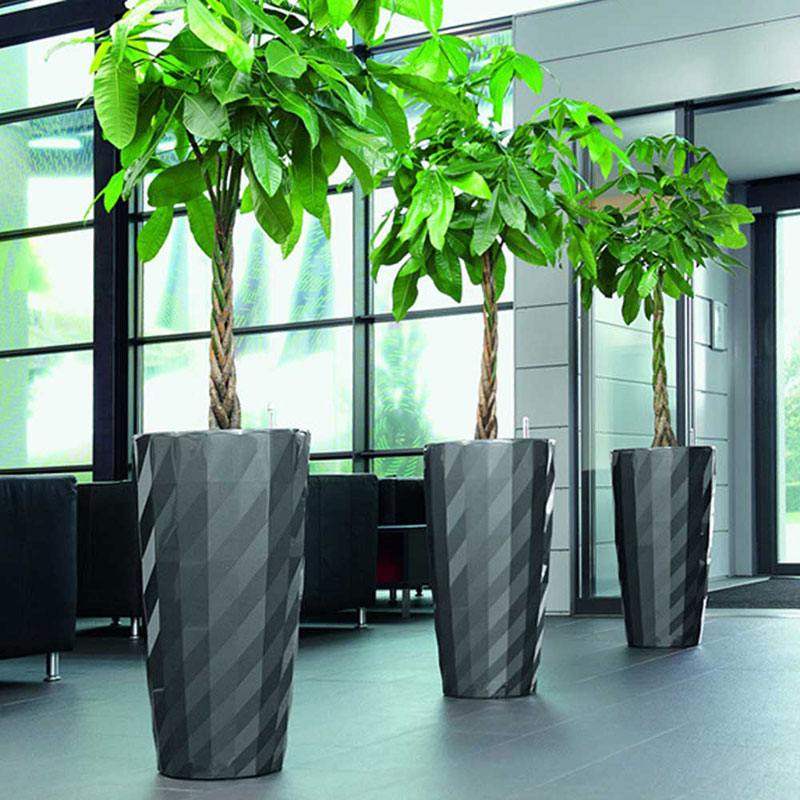 Leizisure ZS-3501 Self-Watering Pot - Lifestyle 3