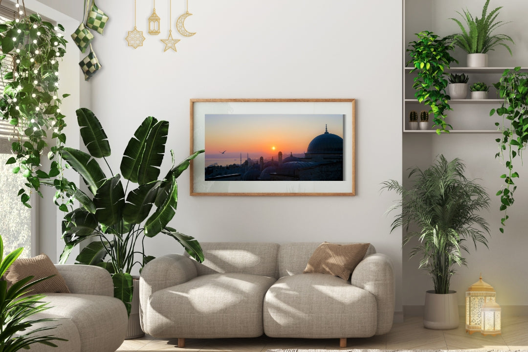 Top 10 Raya Plants For Home Decor