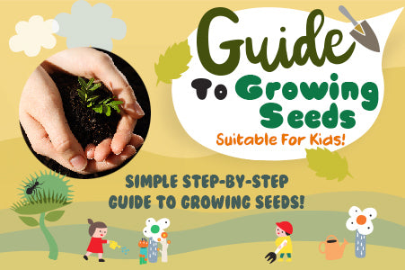 Guide to growing seeds suitable for kids