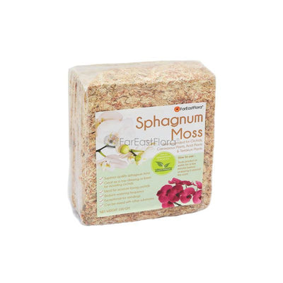 CHILEAN SPHAGNUM MOSS (100G)