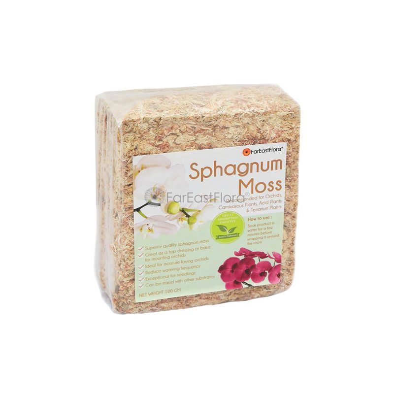 CHILEAN SPHAGNUM MOSS (100G)