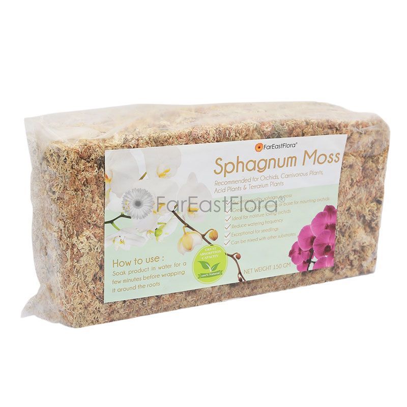 CHILEAN SPHAGNUM MOSS (150G)