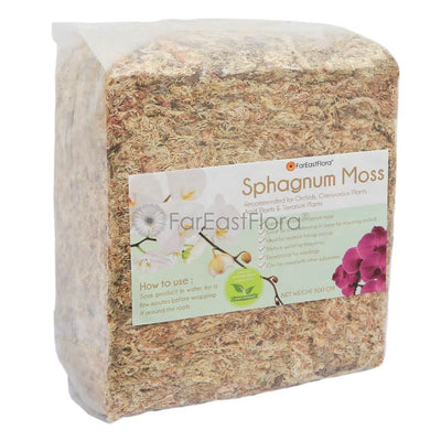 CHILEAN SPHAGNUM MOSS (500G)