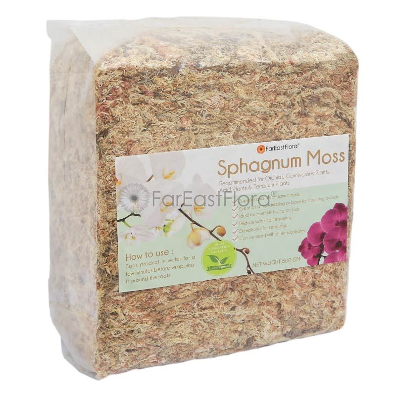 CHILEAN SPHAGNUM MOSS (500G)