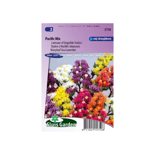 SL5750 Wavyleaf Sea Lavender Pacific Mix