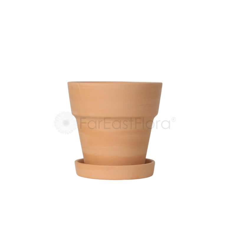 Ceramic Pot w/ Saucer (Ø15.5cmxH15.5cm)