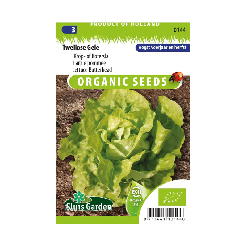 SL0144 Lettuce Butterhead Twellose Gele BIO