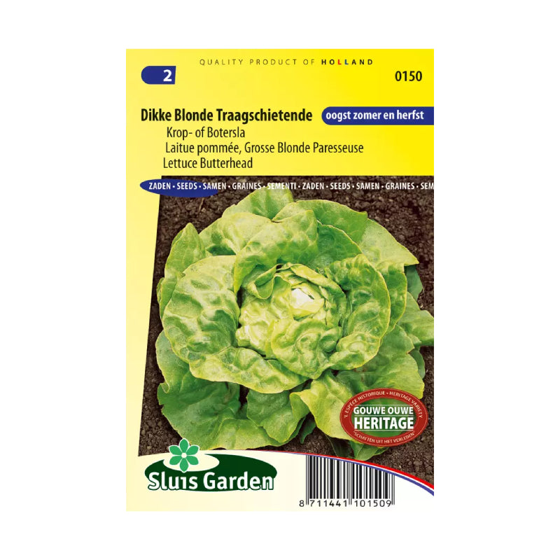 SL0150 Lettuce Butterhead Dikke Blonde Traagschietende