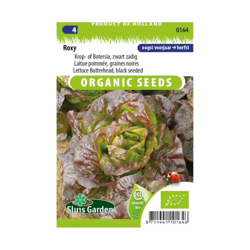 SL0164 Lettuce Butterhead Roxy BIO