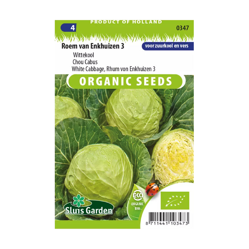 SL0347 White Cabbage Roem van Enkhuizen 3 BIO