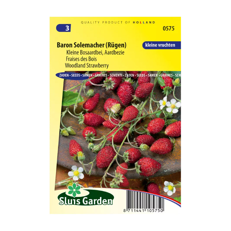 SL0575 Woodland Strawberry Baron Solemacher (Rügen)