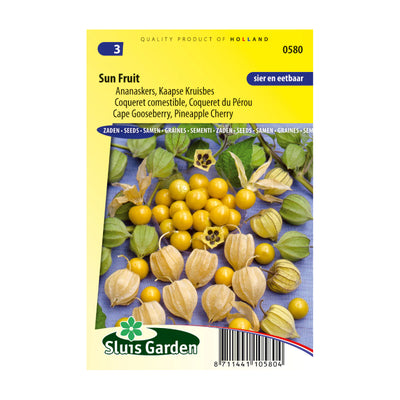 SL0580 Cape Gooseberry Sun Fruit