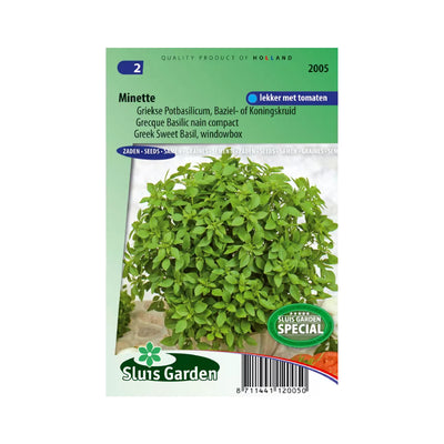SL2005 Greek Sweet Basil Minette