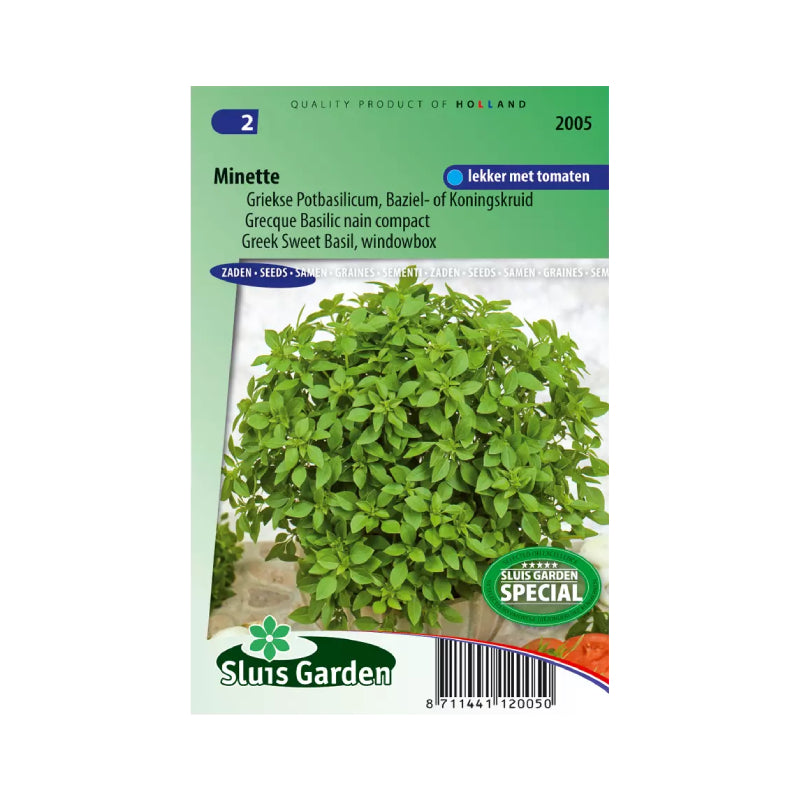 SL2005 Greek Sweet Basil Minette