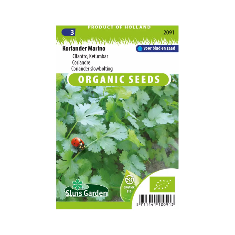 SL2091 Coriander (slowbolting Cilantro) Marino  BIO