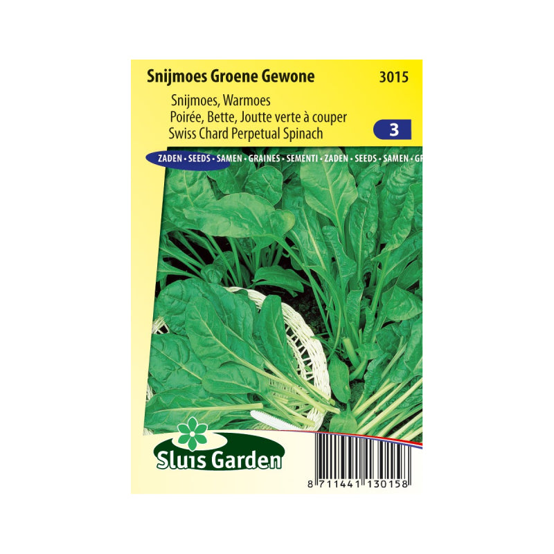 SL3015 Swiss Chard Perpetual Spinach Groene Gewone