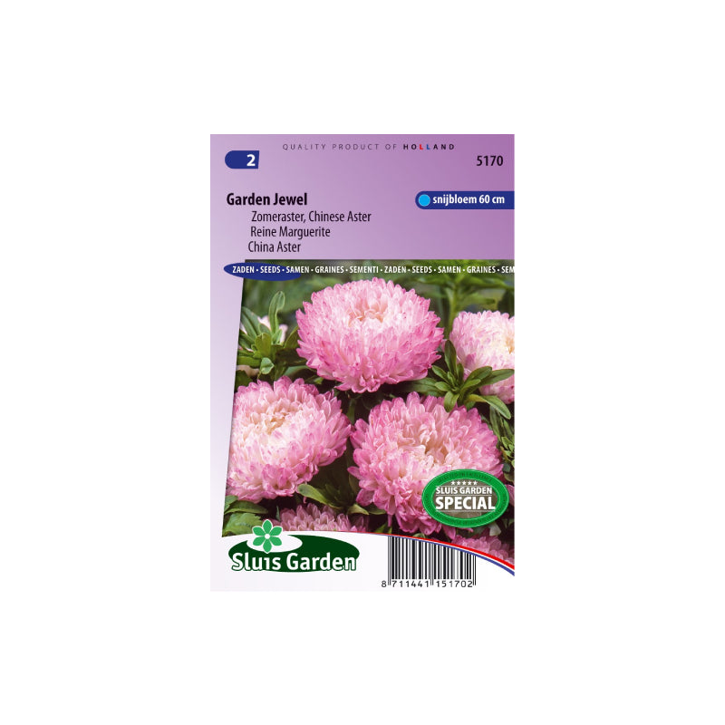 SL5170 China Aster Garden Jewel